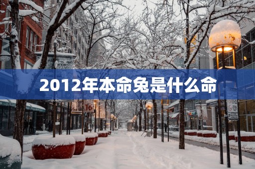 2012年本命兔是什么命