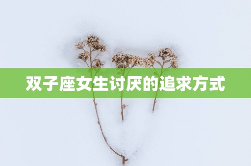 双子座女生讨厌的追求方式