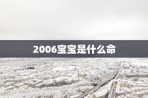 2006宝宝是什么命