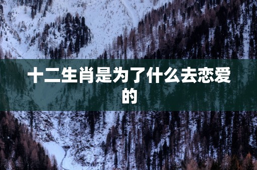 十二生肖是为了什么去恋爱的