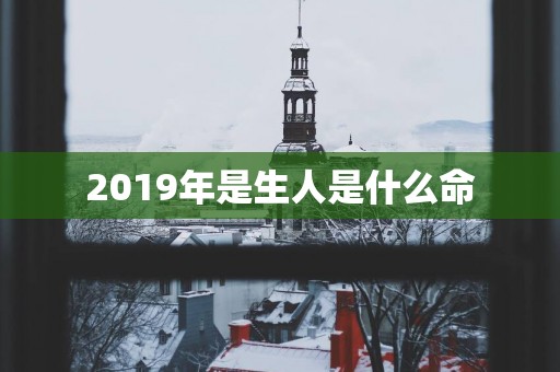 2019年是生人是什么命
