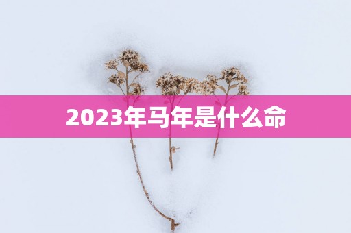 2025年马年是什么命