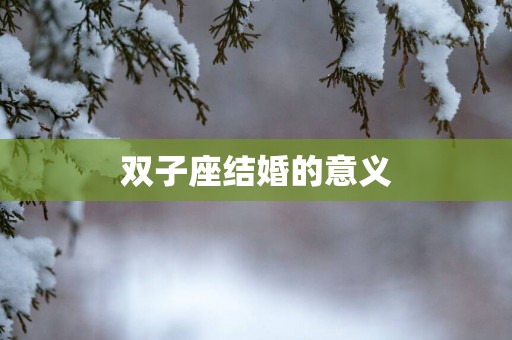 双子座结婚的意义