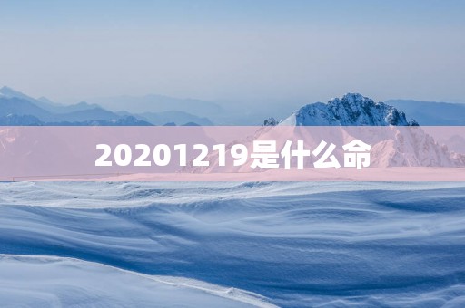 20251219是什么命