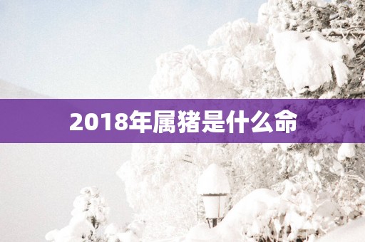 2018年属猪是什么命