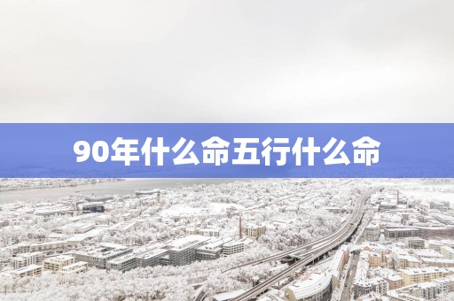 90年什么命五行什么命