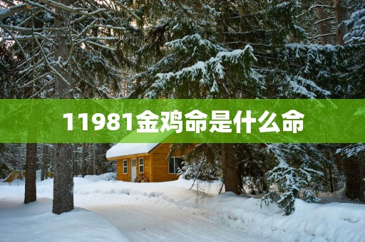 11981金鸡命是什么命