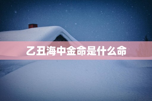 乙丑海中金命是什么命