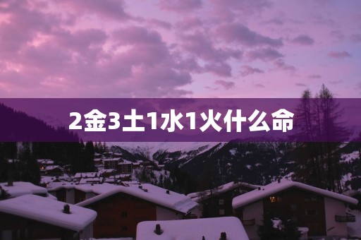 2金3土1水1火什么命