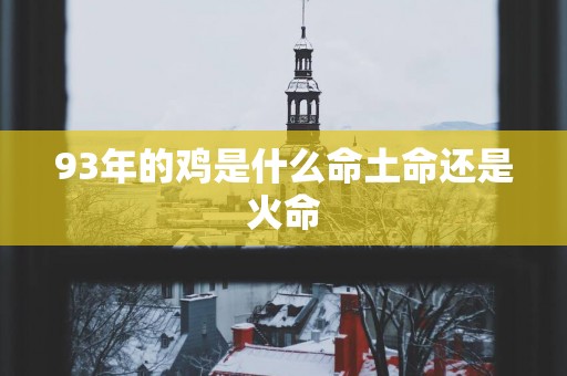 93年的鸡是什么命土命还是火命