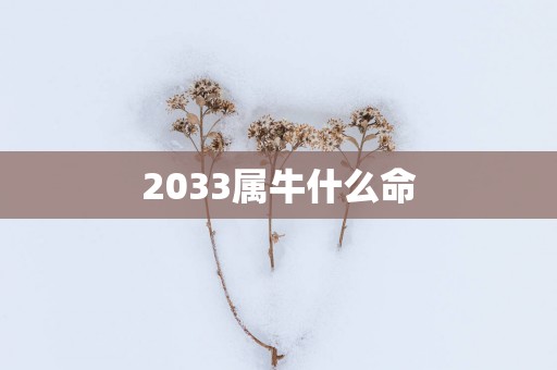 2033属牛什么命