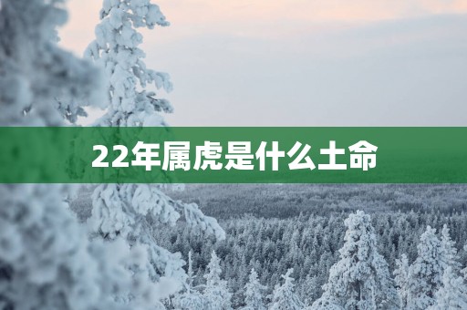22年属虎是什么土命