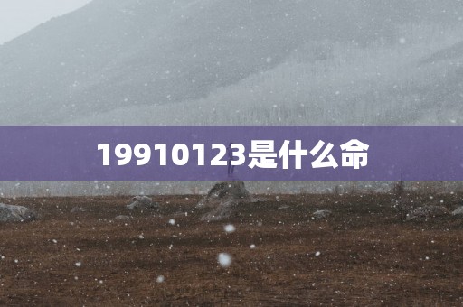 19910123是什么命