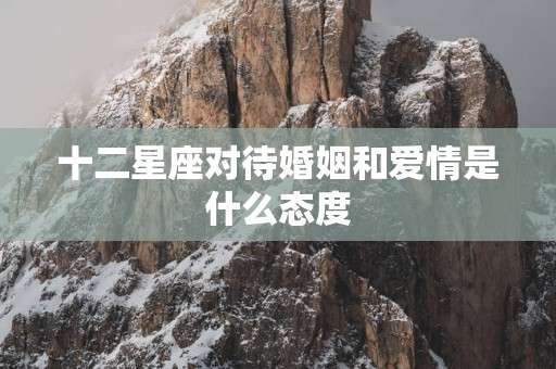 十二星座对待婚姻和爱情是什么态度