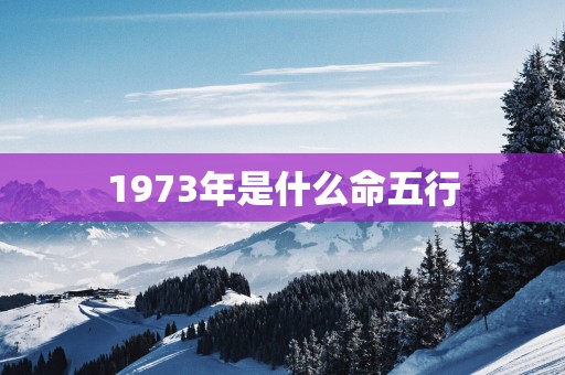 1973年是什么命五行