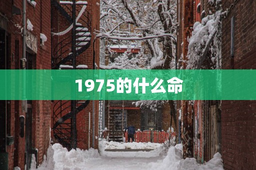 1975的什么命