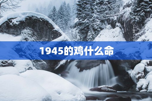 1945的鸡什么命