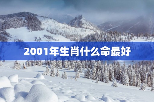 2001年生肖什么命最好