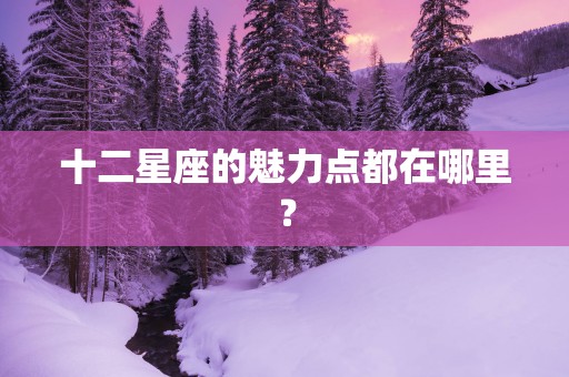 十二星座的魅力点都在哪里？