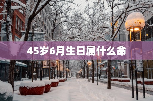 45岁6月生日属什么命