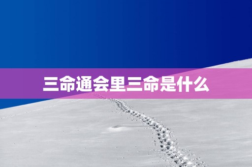 三命通会里三命是什么