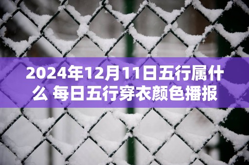 2025年12月11日五行属什么 每日五行穿衣颜色播报