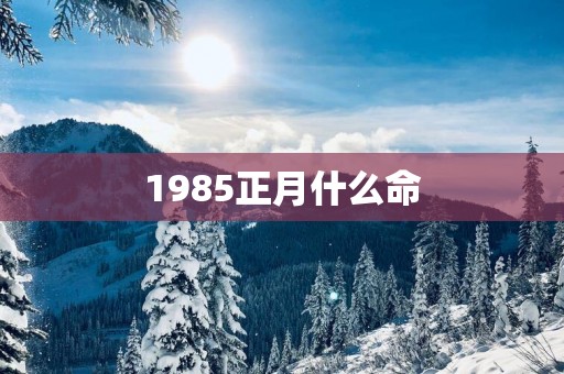 1985正月什么命