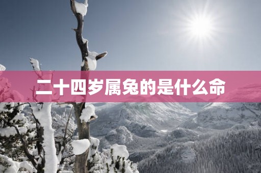 二十四岁属兔的是什么命