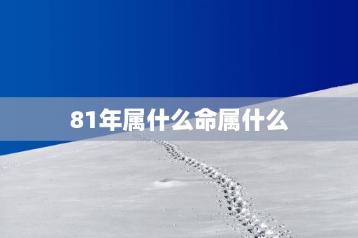 81年属什么命属什么