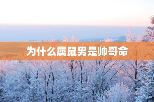 为什么属鼠男是帅哥命