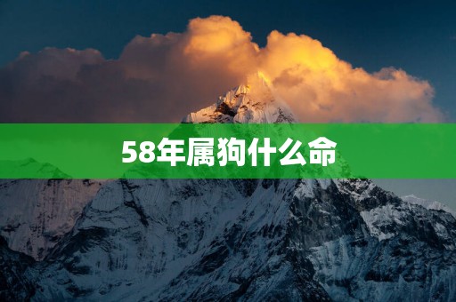 58年属狗什么命