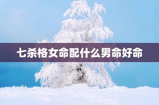 七杀格女命配什么男命好命