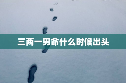 三两一男命什么时候出头