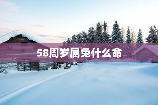 58周岁属兔什么命