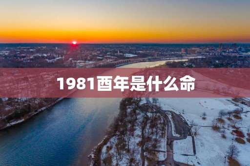 1981酉年是什么命