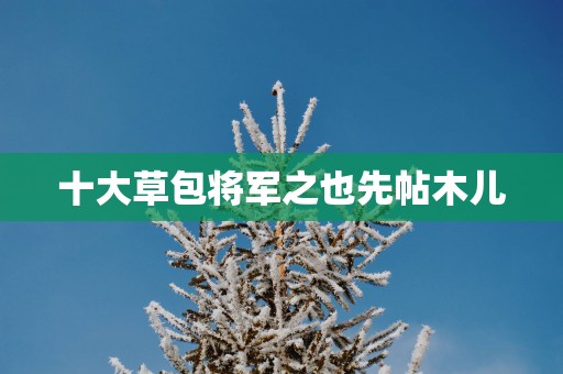 十大草包将军之也先帖木儿