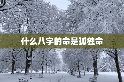 什么八字的命是孤独命