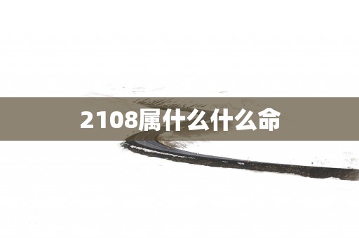2108属什么什么命
