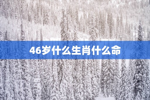 46岁什么生肖什么命