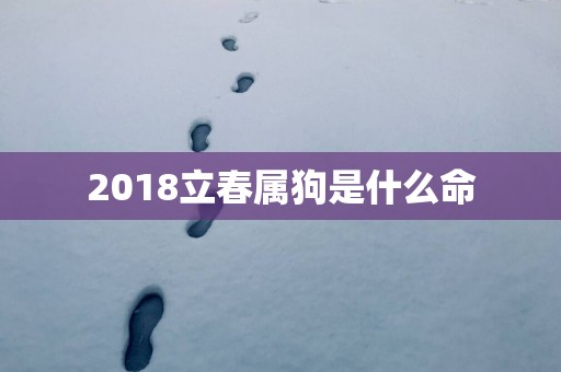 2018立春属狗是什么命