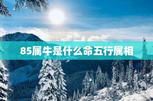 85属牛是什么命五行属相