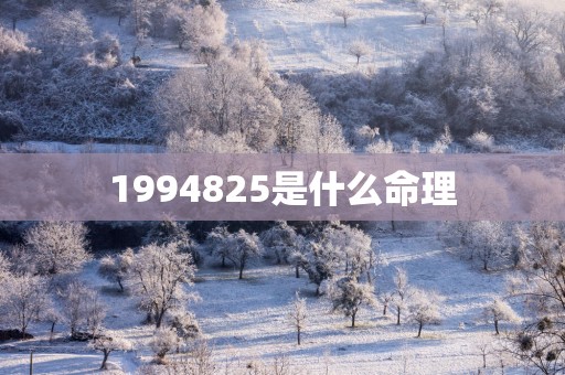 1994825是什么命理