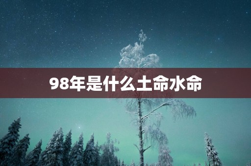 98年是什么土命水命