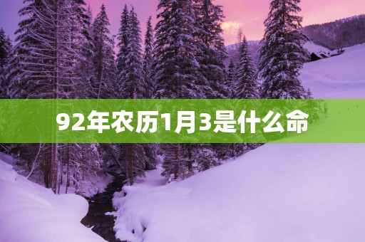 92年农历1月3是什么命