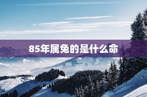 85年属兔的是什么命