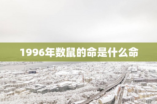 1996年数鼠的命是什么命