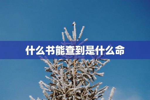 什么书能查到是什么命