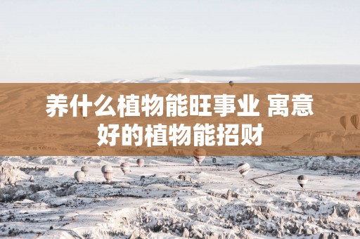 养什么植物能旺事业 寓意好的植物能招财