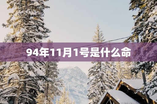 94年11月1号是什么命