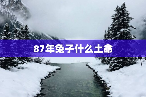 87年兔子什么土命
